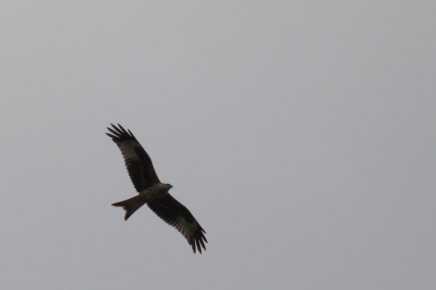 Val de Ruz 09 10 10 2021 (7 von 31)